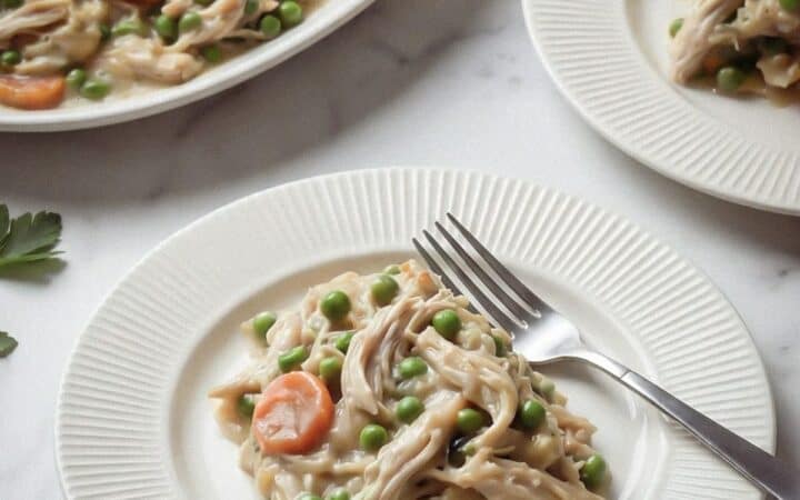 Slow Cooker Cheesy Chicken Stew